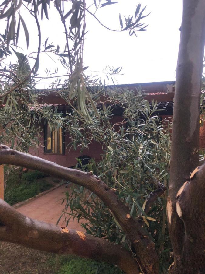 Monte Alto Holiday home *
