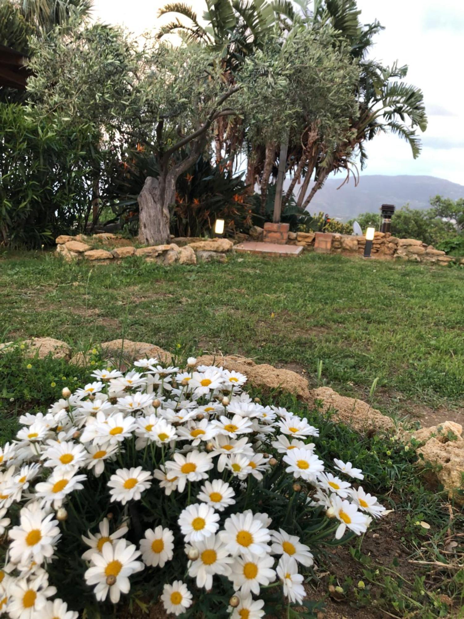 Monte Alto Patti