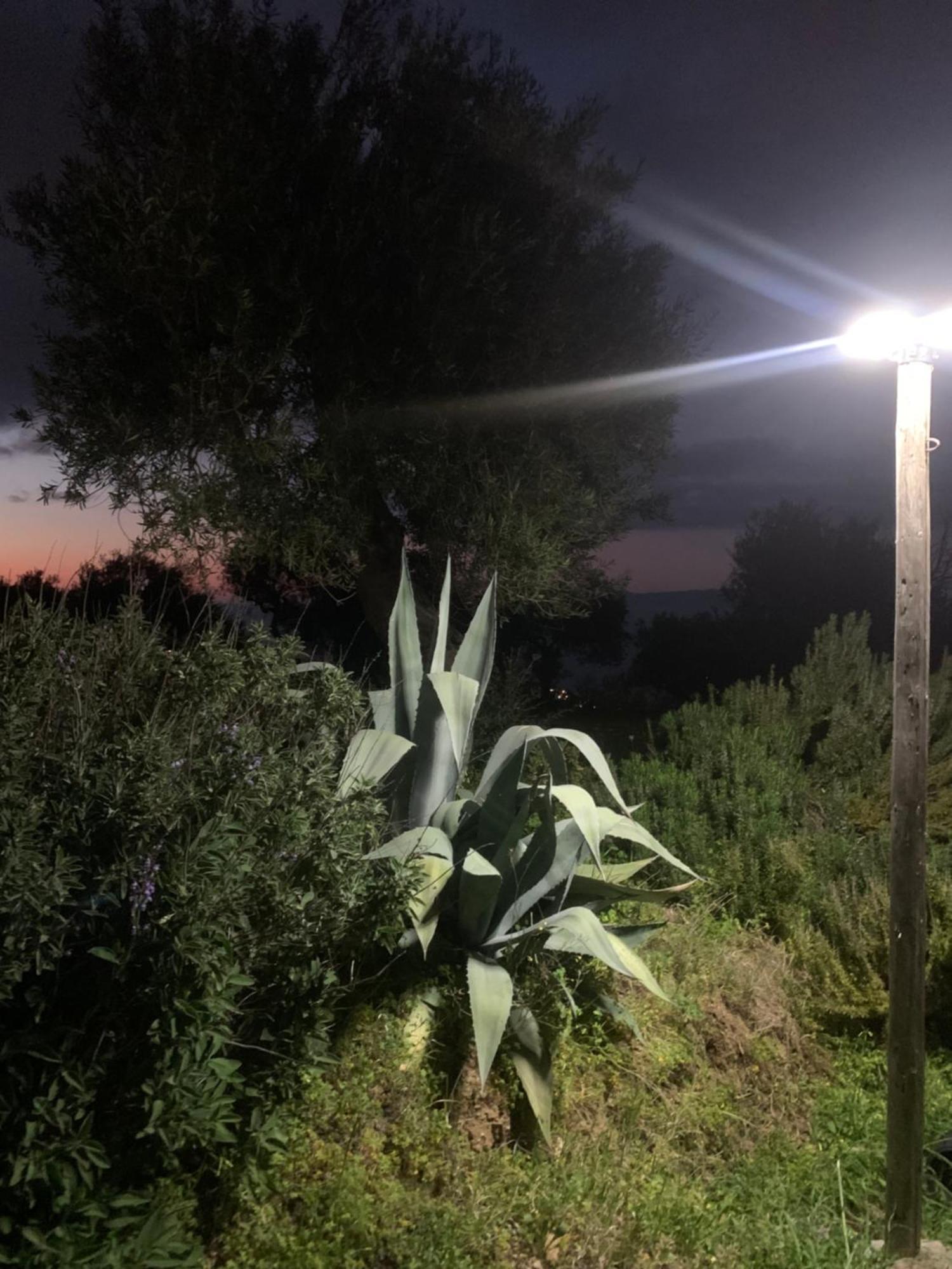 Monte Alto Holiday home Patti