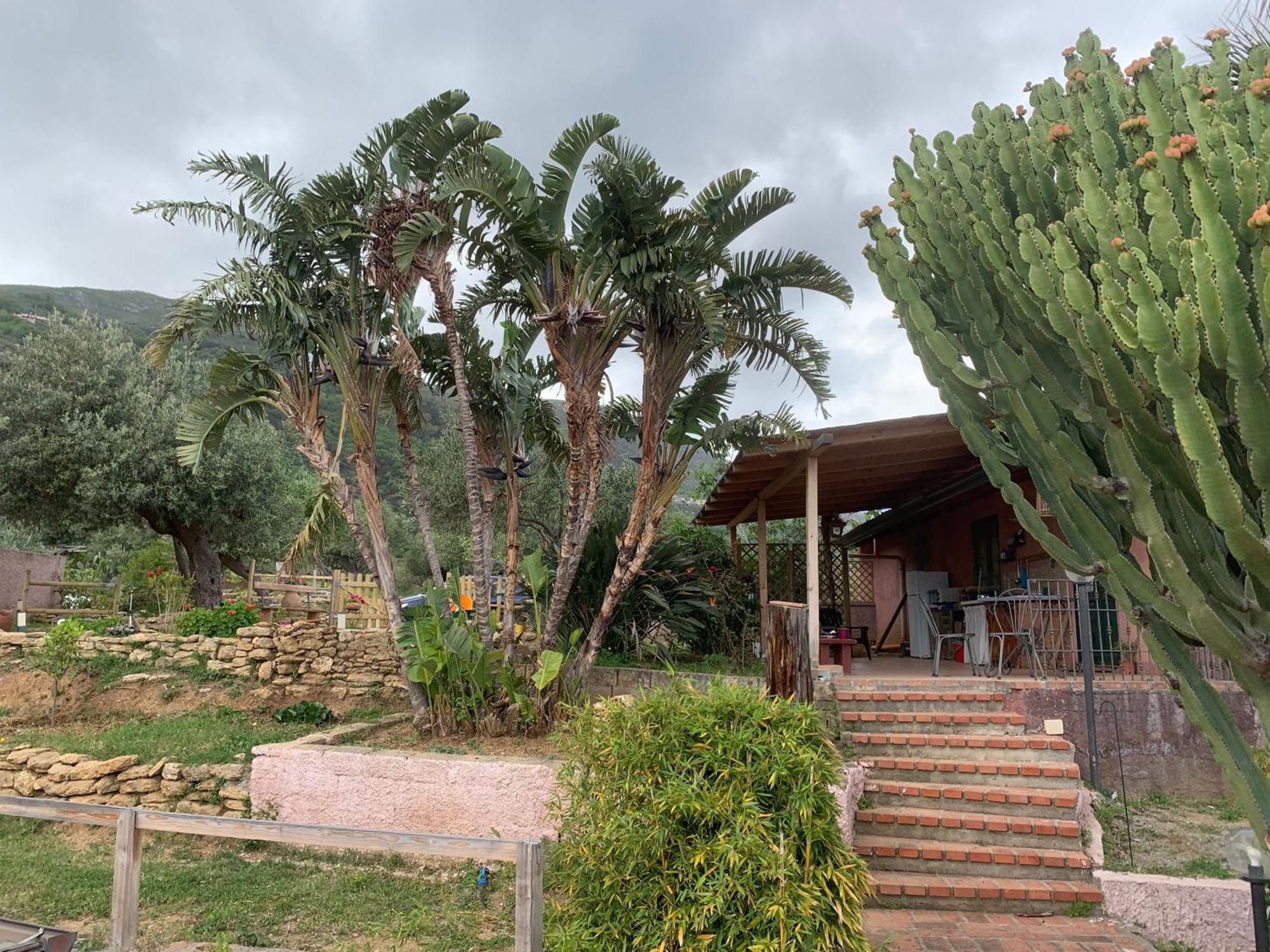 Monte Alto